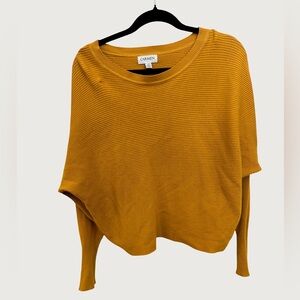CARMEN MARC VALVO | Golden Ribbed Sweater